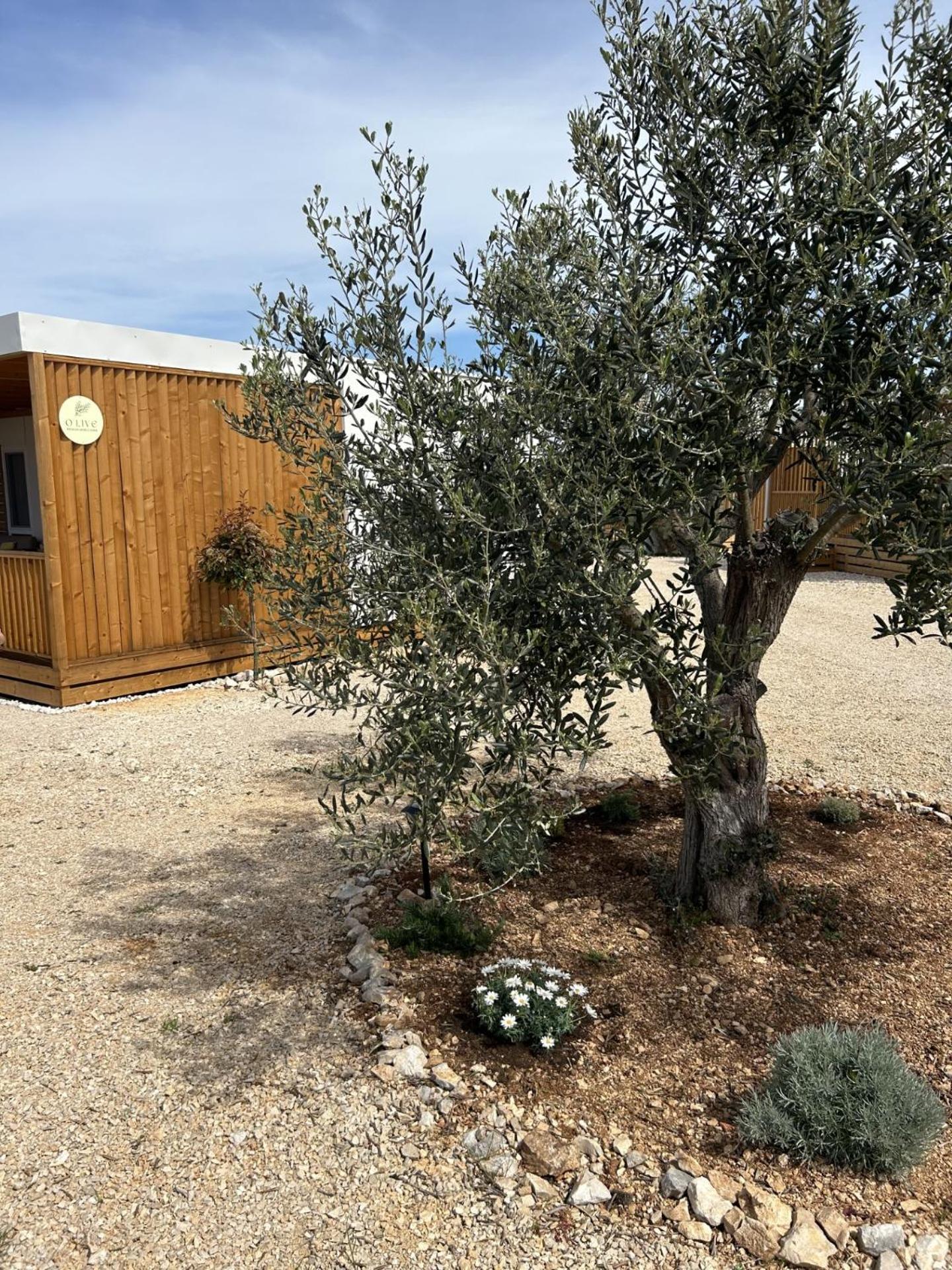 O'Live Premium Mobile Home Drage Exterior photo